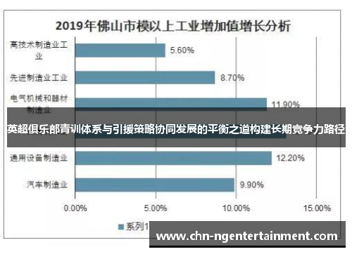 英超俱乐部青训体系与引援策略协同发展的平衡之道构建长期竞争力路径