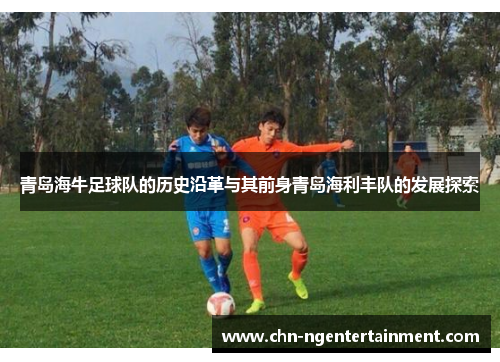 青岛海牛足球队的历史沿革与其前身青岛海利丰队的发展探索