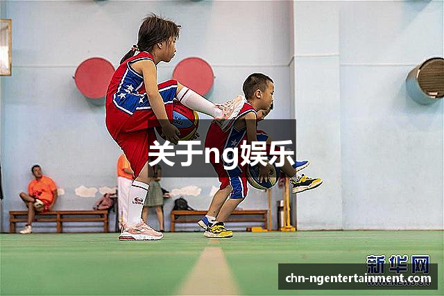 关于ng娱乐